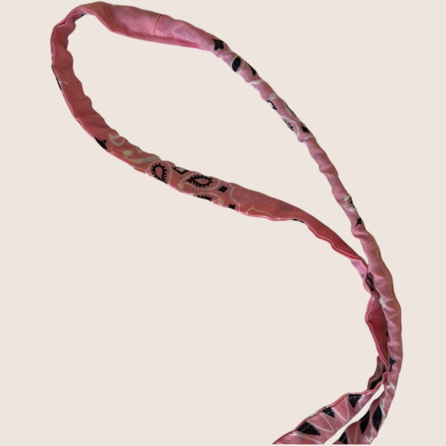 Le Saumon